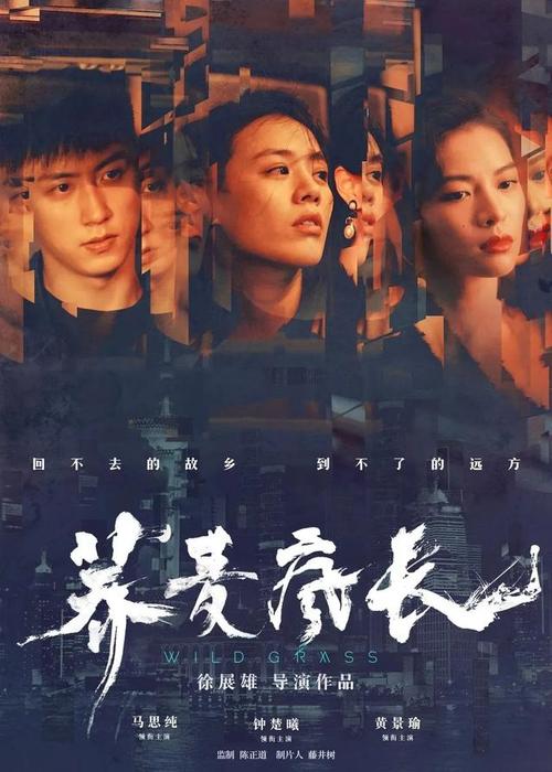 高仿昆士兰驾驶证